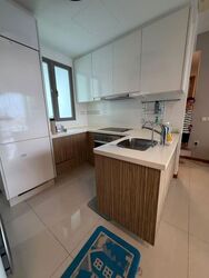 Trevista (D12), Condominium #592037121